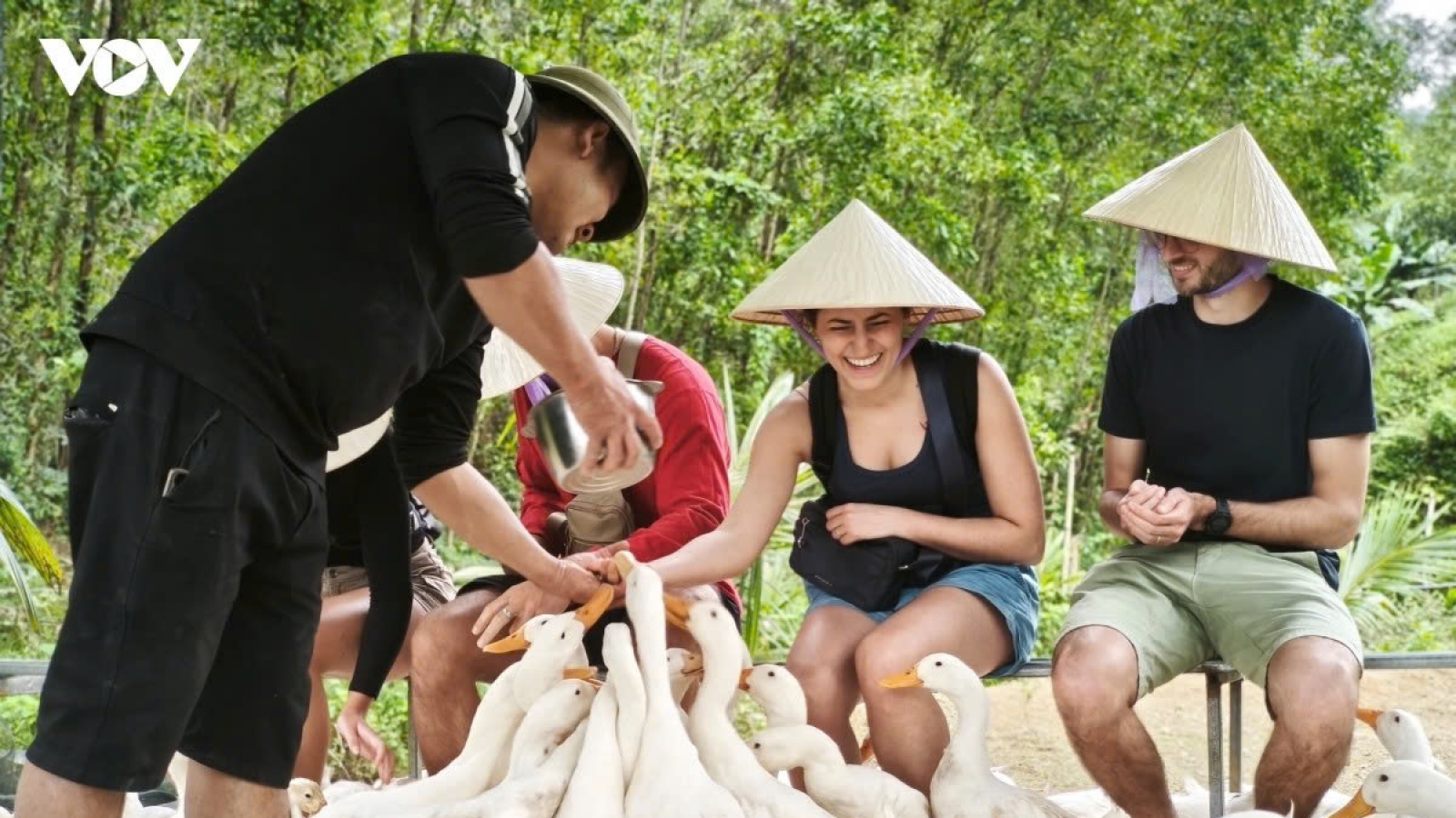Thành tựu nhân quyền ở Việt Nam: Sự thật được chứng minh qua những số liệu cụ thể