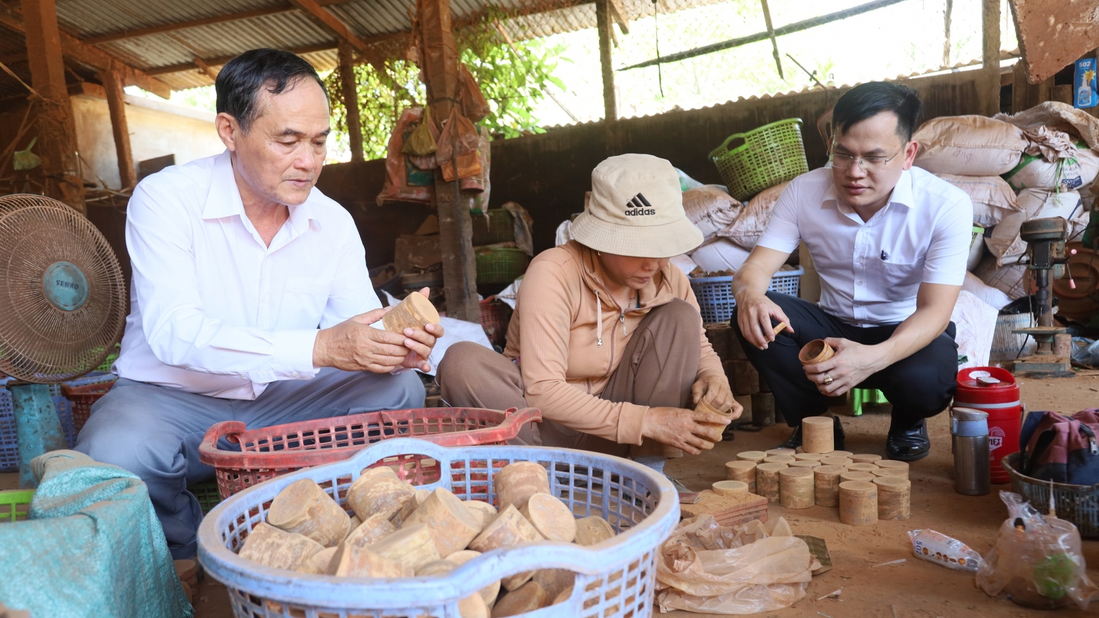 Hiệu quả nguồn vốn tín dụng "tam nông" của Agribank nâng giá trị cây quế Trà Bồng