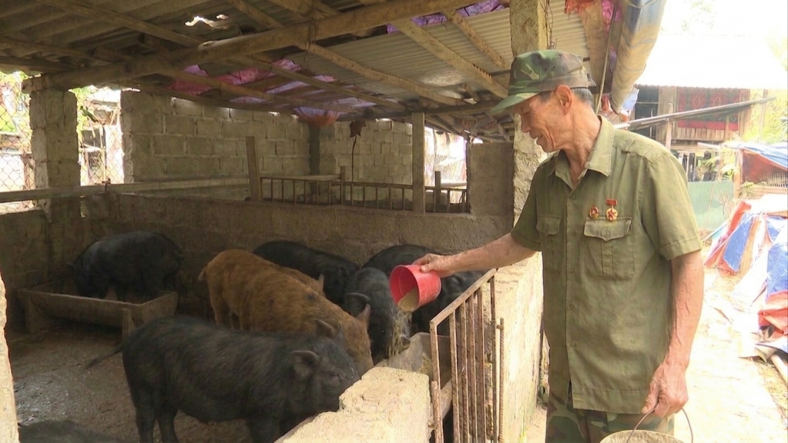 Người thương binh và hành trình hồi sinh vùng đất cằn Đèo Gió