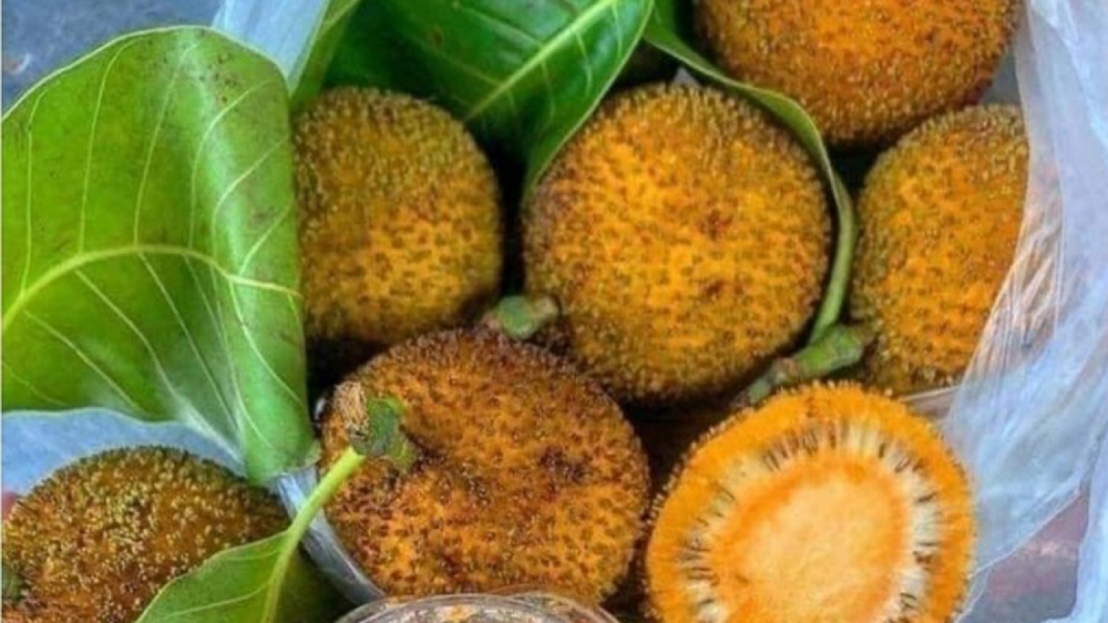 Quả dại mọc đầy bờ rào thành đặc sản, luôn cháy hàng