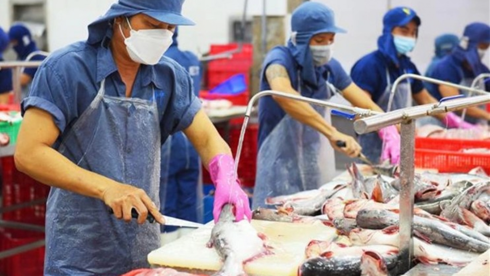 EFTA FTA opens new opportunities for Vietnam's seafood exports