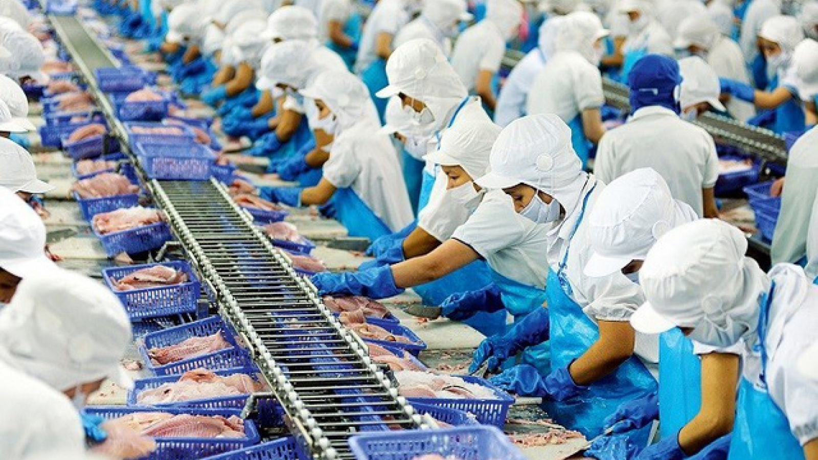 Vietnam seafood exports rise 12.8% in H1, China leads growth
