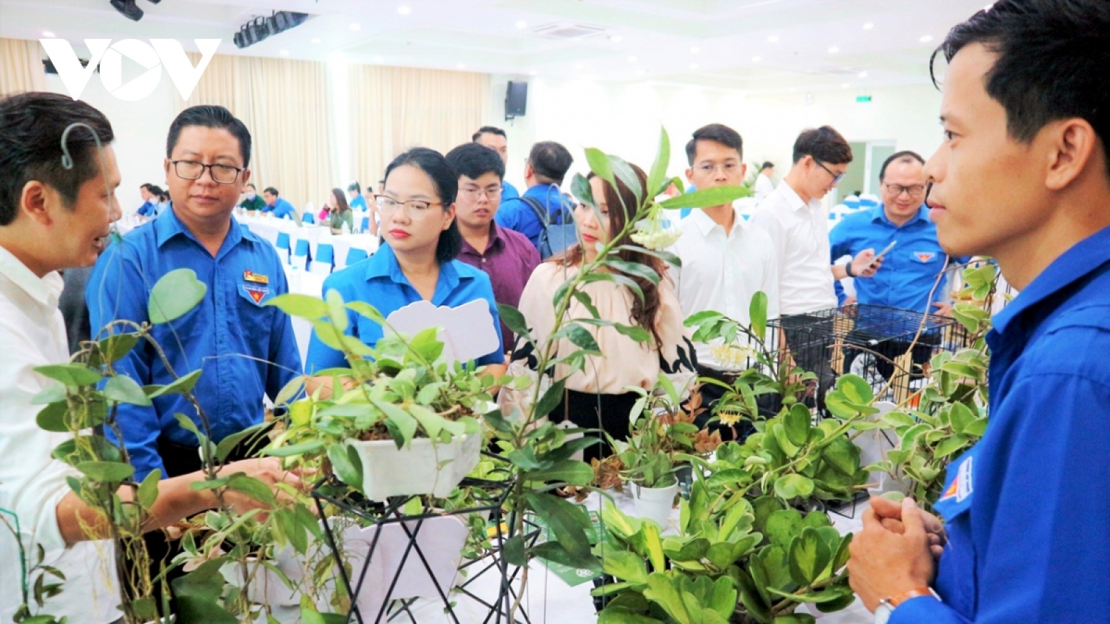 Đến 2030, ít nhất 25% doanh nghiệp khởi nghiệp mới do thanh niên làm chủ