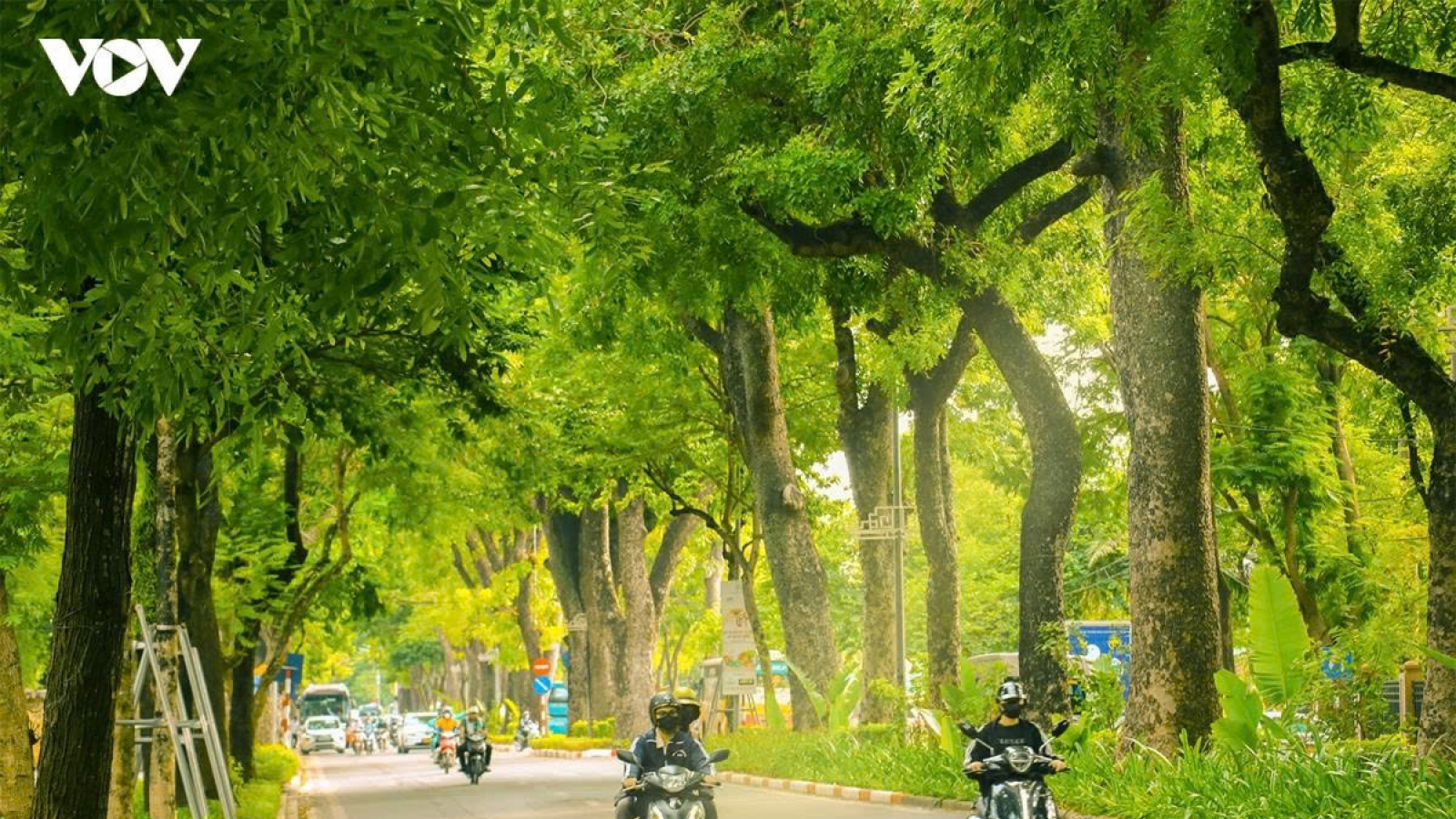 Thời tiết ngày 16/7: Bắc Bộ có mưa dông cục bộ, Tây Nguyên và Nam Bộ có mưa rào