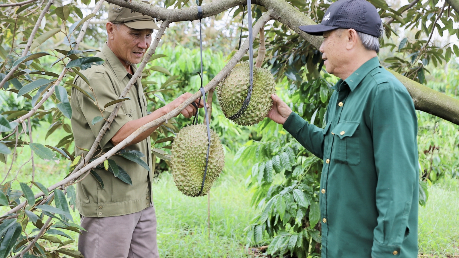 Từ chiến trường đến nương rẫy, vẫn trọn phẩm chất Bộ đội Cụ Hồ