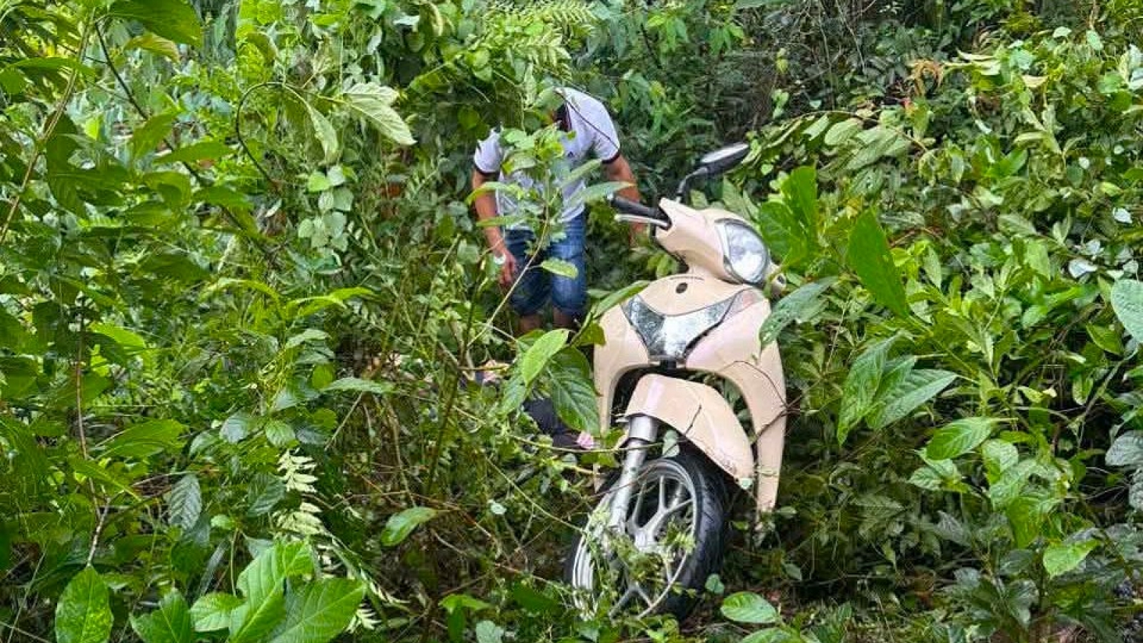 Phát hiện mẹ tử vong, con gái bị thương nặng tại vách đá ven đường ở Hà Tĩnh