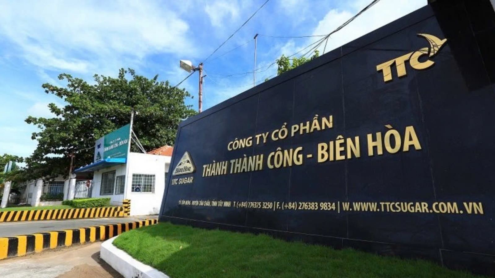 Thành Thành Công - Biên Hòa bị phạt 175 triệu đồng vì công bố thông tin sai lệch