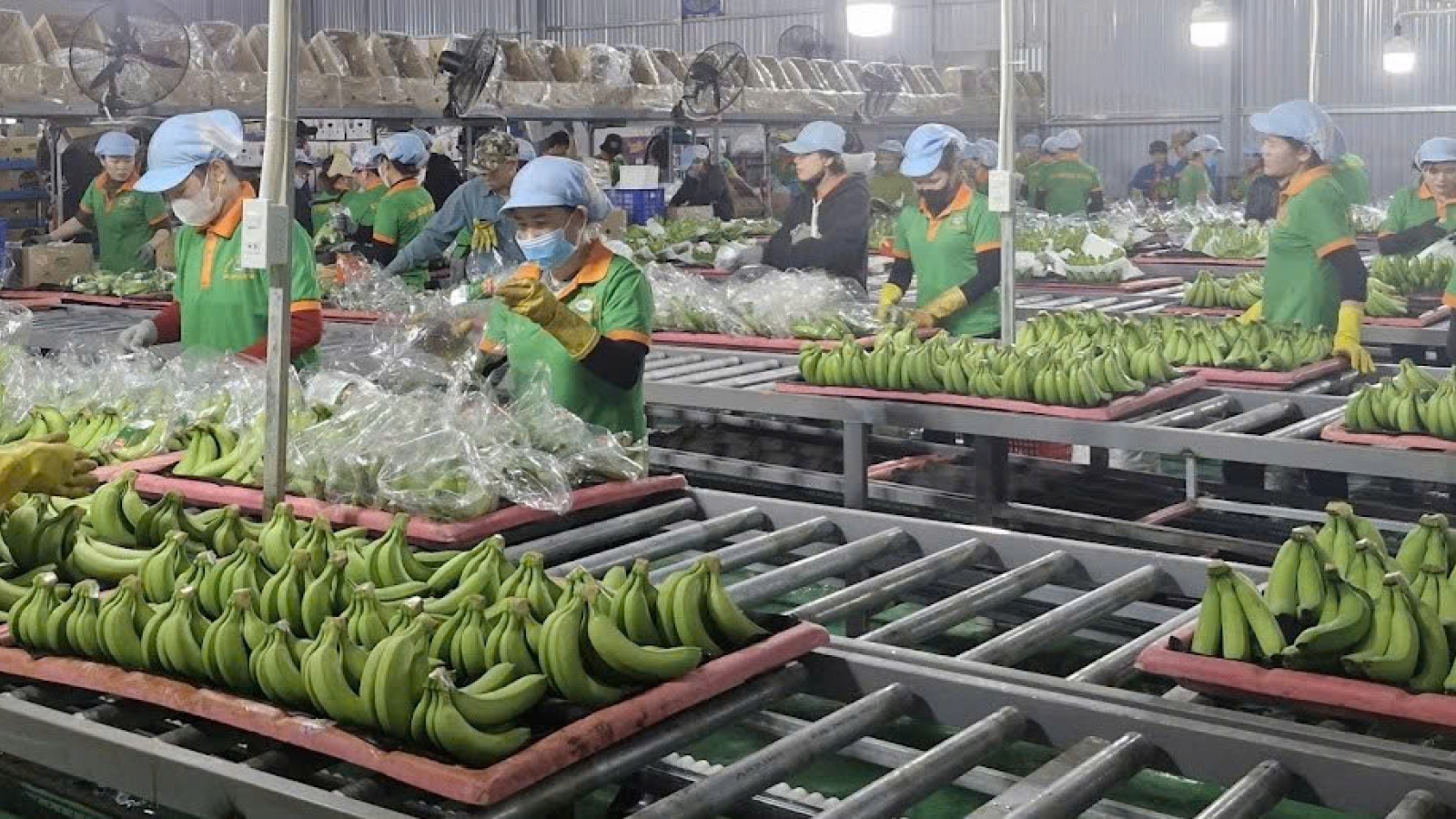 Doanh nghiệp cần chủ động ứng phó với các rào cản kỹ thuật ở thị trường EU