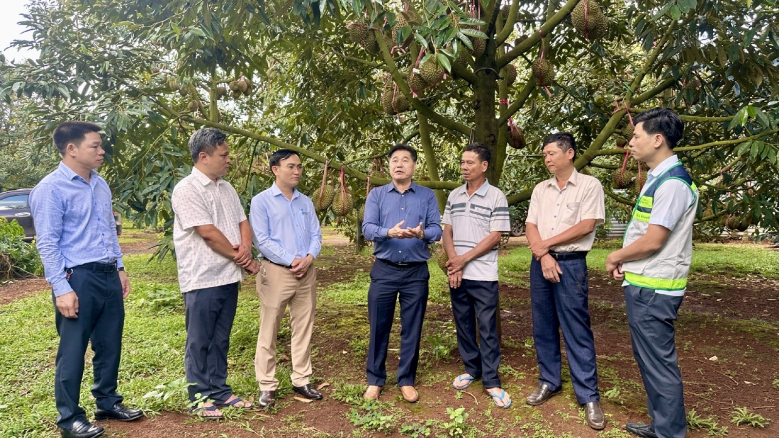 Đắk Lắk đồng hành cùng nông dân số hóa mã số vùng trồng