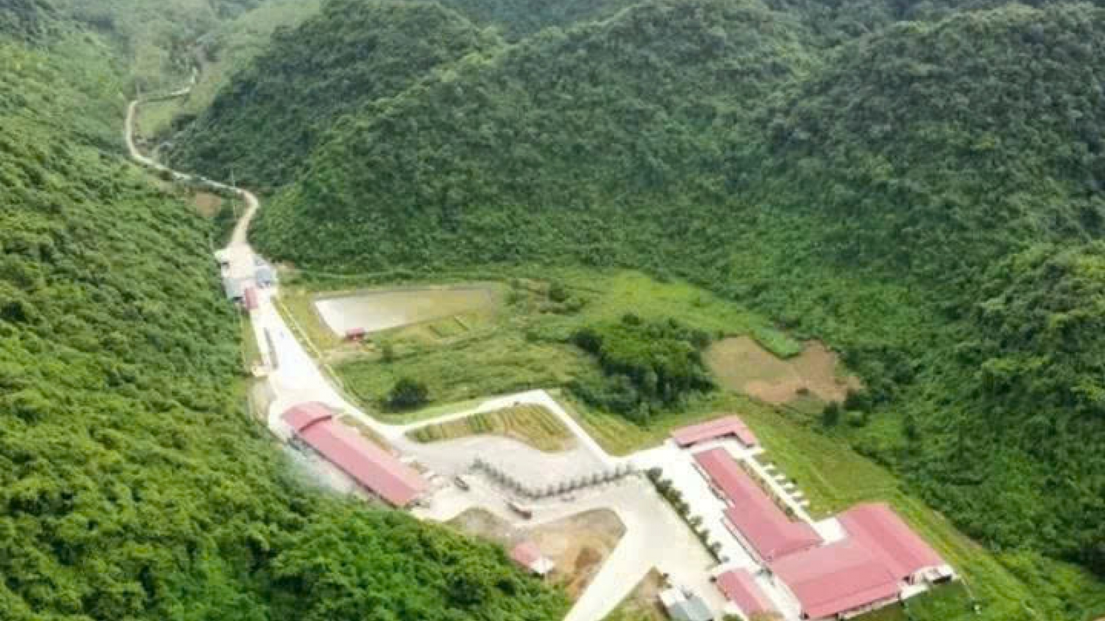 Khởi tố vụ án tai nạn lao động tại trại lợn khiến 5 người tử vong ở Thanh Hóa