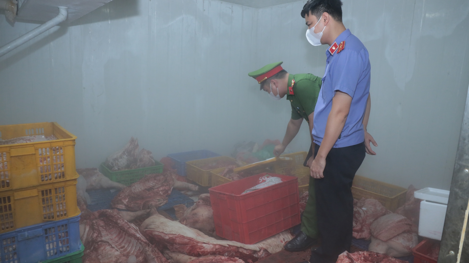 Tiêu hủy gần 1 tấn thịt lợn ở Hưng Yên nghi nhiễm dịch tả lợn châu Phi