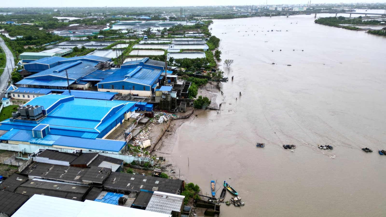 Khởi công dự án kè 480 tỷ đồng bảo vệ bờ sông Gành Hào ở Cà Mau