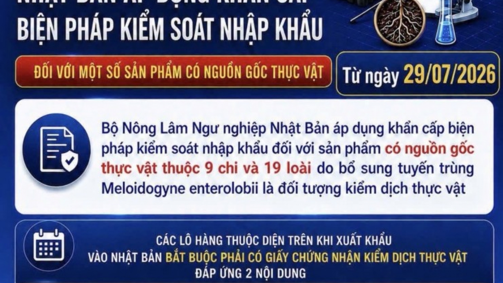 Hải quan cảnh báo quy định mới của Nhật Bản đối với hàng nông sản xuất khẩu