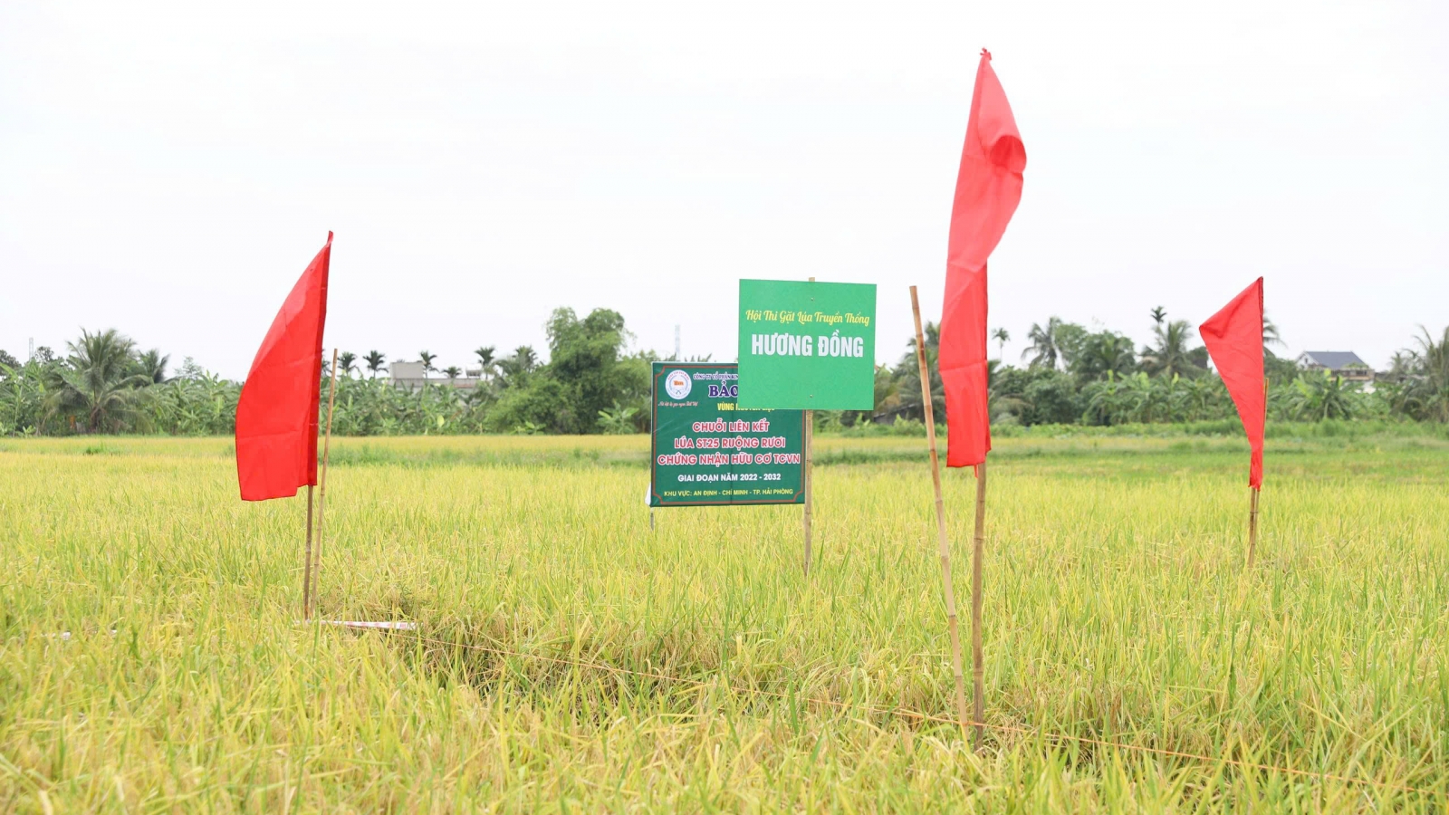 Hải Phòng “tiếp sức” cho nông nghiệp công nghệ cao