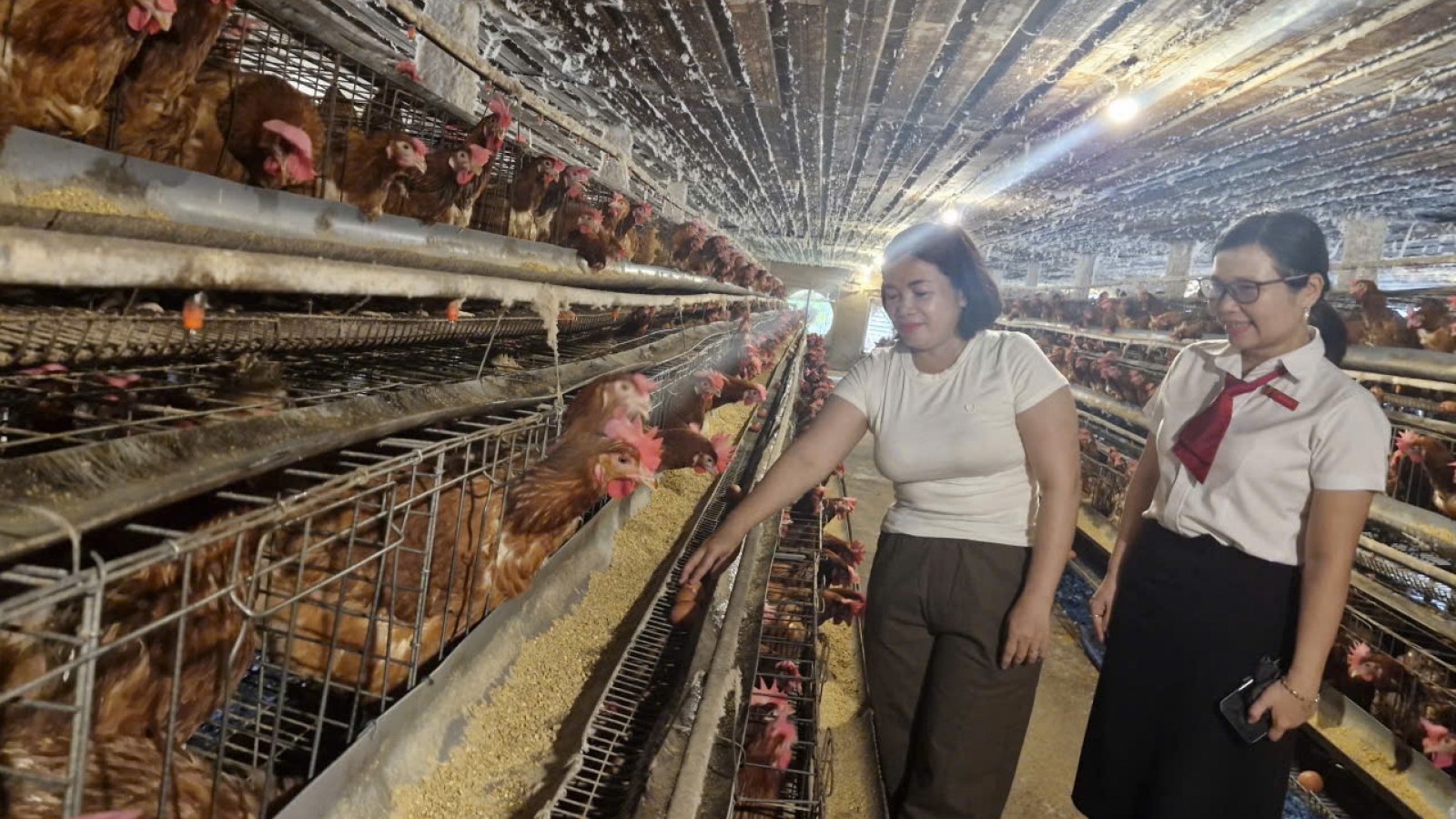 Đà Nẵng: Nông dân ở Đại Lộc vươn lên thoát nghèo nhờ nguồn vốn Agribank