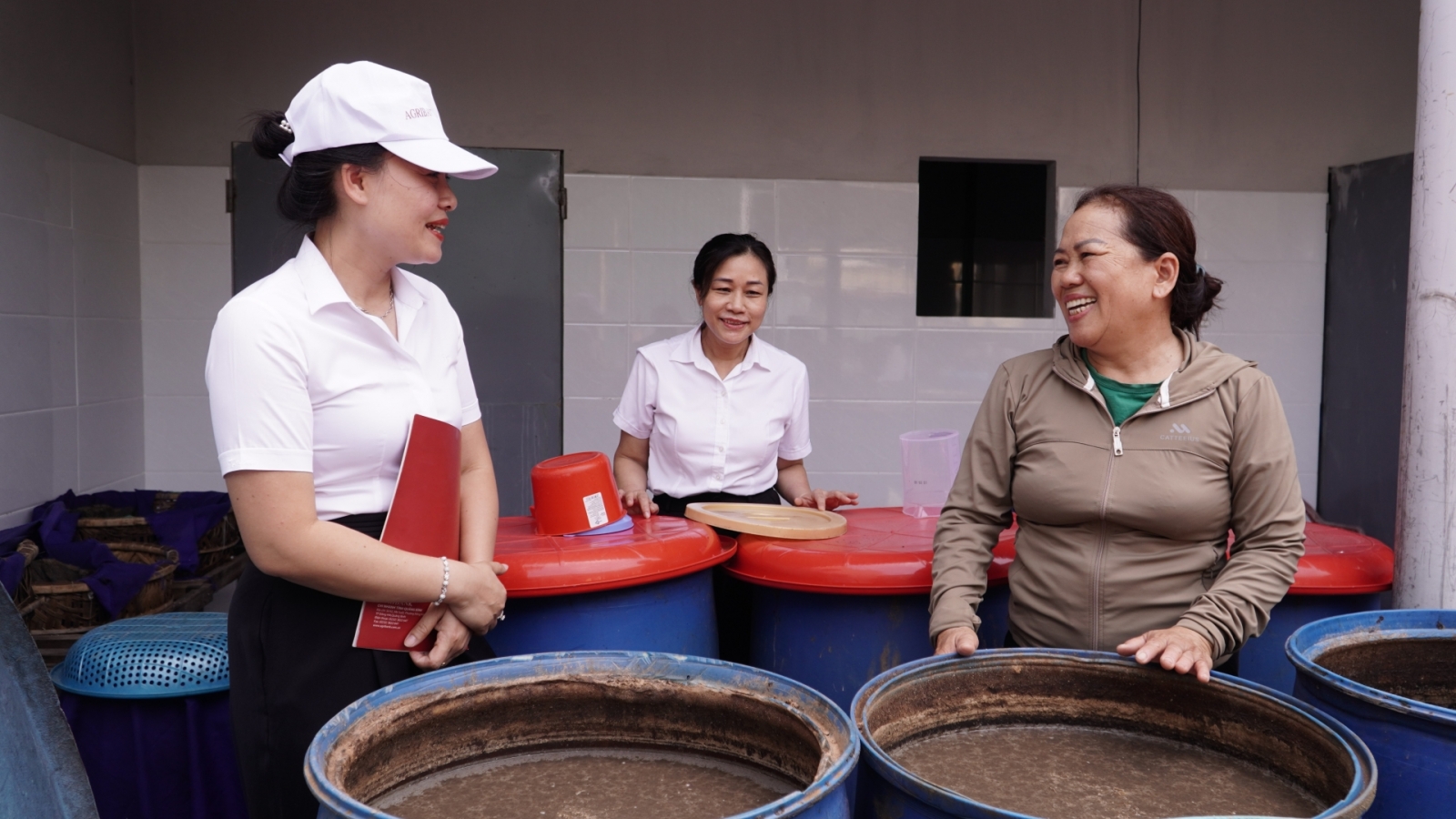 Người dân Quảng Trị làm giàu từ biển