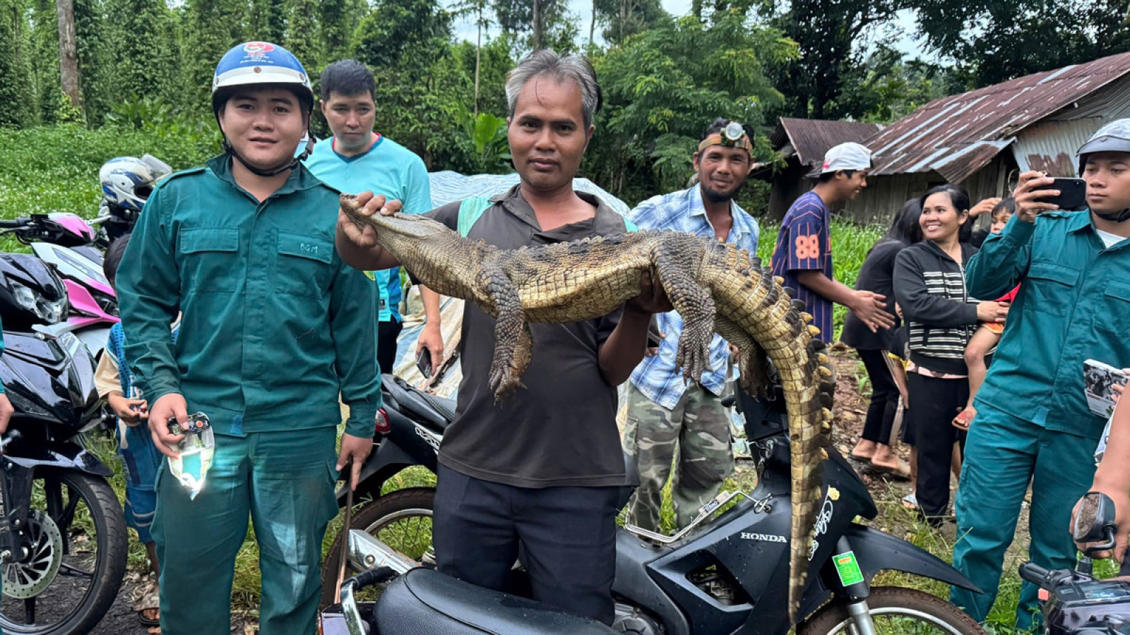 Bắt được cá sấu nặng hơn 10kg dưới suối ở Đồng Nai