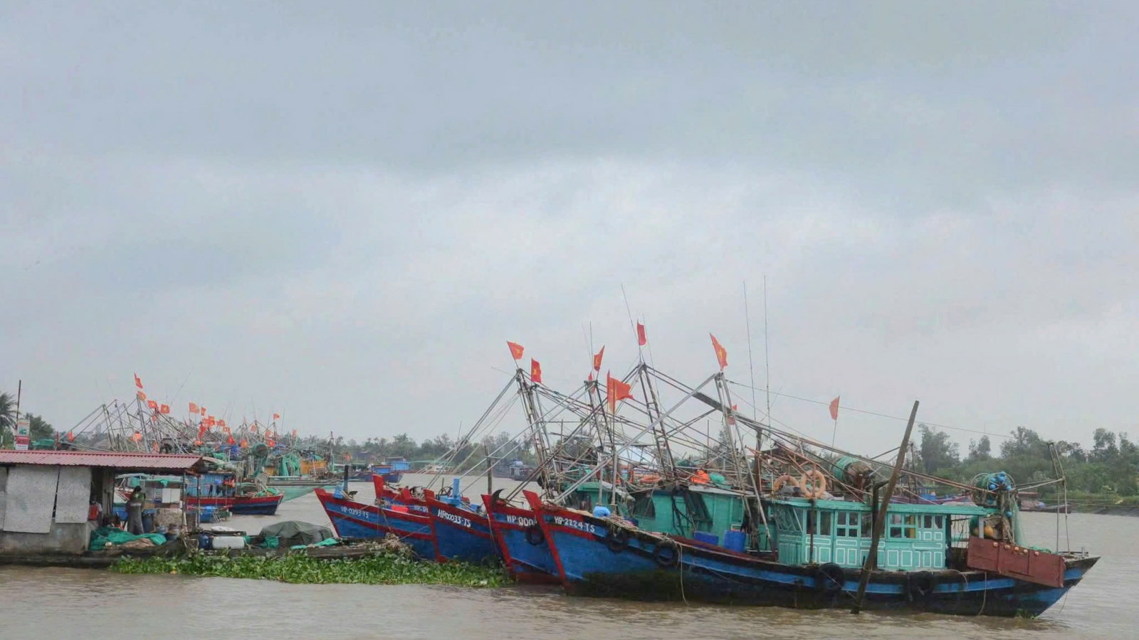Hải Phòng bảo đảm an toàn tàu thuyền tại nơi neo đậu