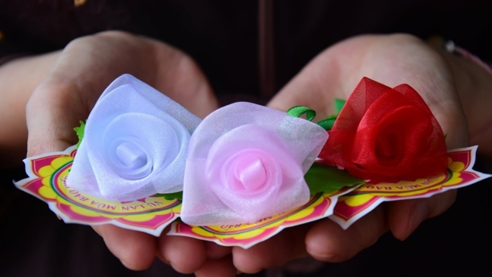 Vì sao cài hoa hồng lên áo trong ngày lễ Vu lan?
