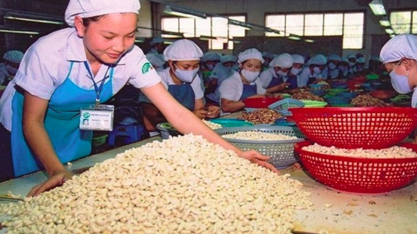 Seven-month cashew exports hit close to US$3 billion