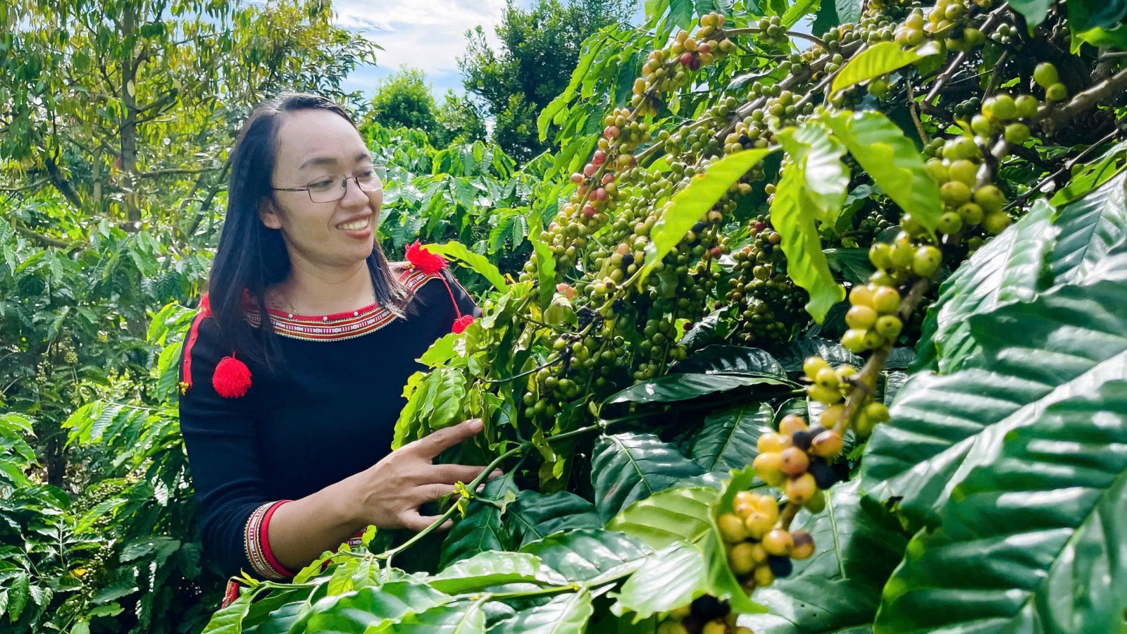 Đắk Lắk cần đổi mới sâu để kết nối các nguồn lực, thế mạnh