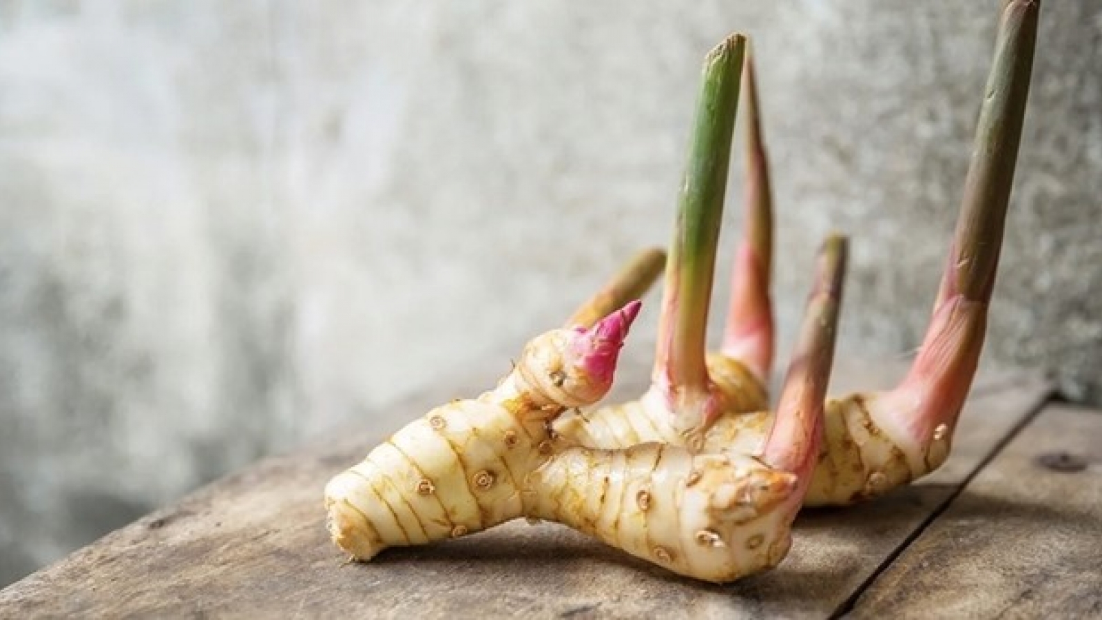 Vị thuốc ngừa ung thư, tốt cho xương khớp và não bộ, bán rẻ bèo đầy chợ Việt