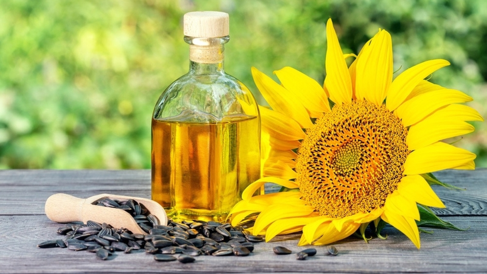 Dầu hướng dương có gì đặc biệt mà được nhiều gia đình lựa chọn?
