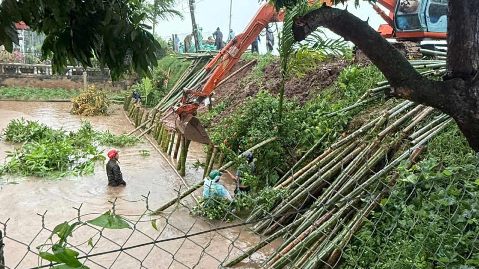 Khẩn trương khắc phục sạt lở đê Hữu Đáy tại Định Hóa, Ninh Bình