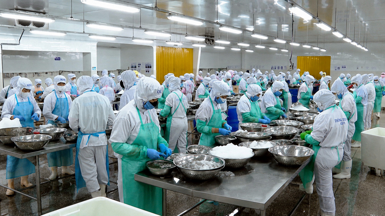 Vĩnh Long kêu gọi đầu tư chế biến sâu ngành thủy sản
