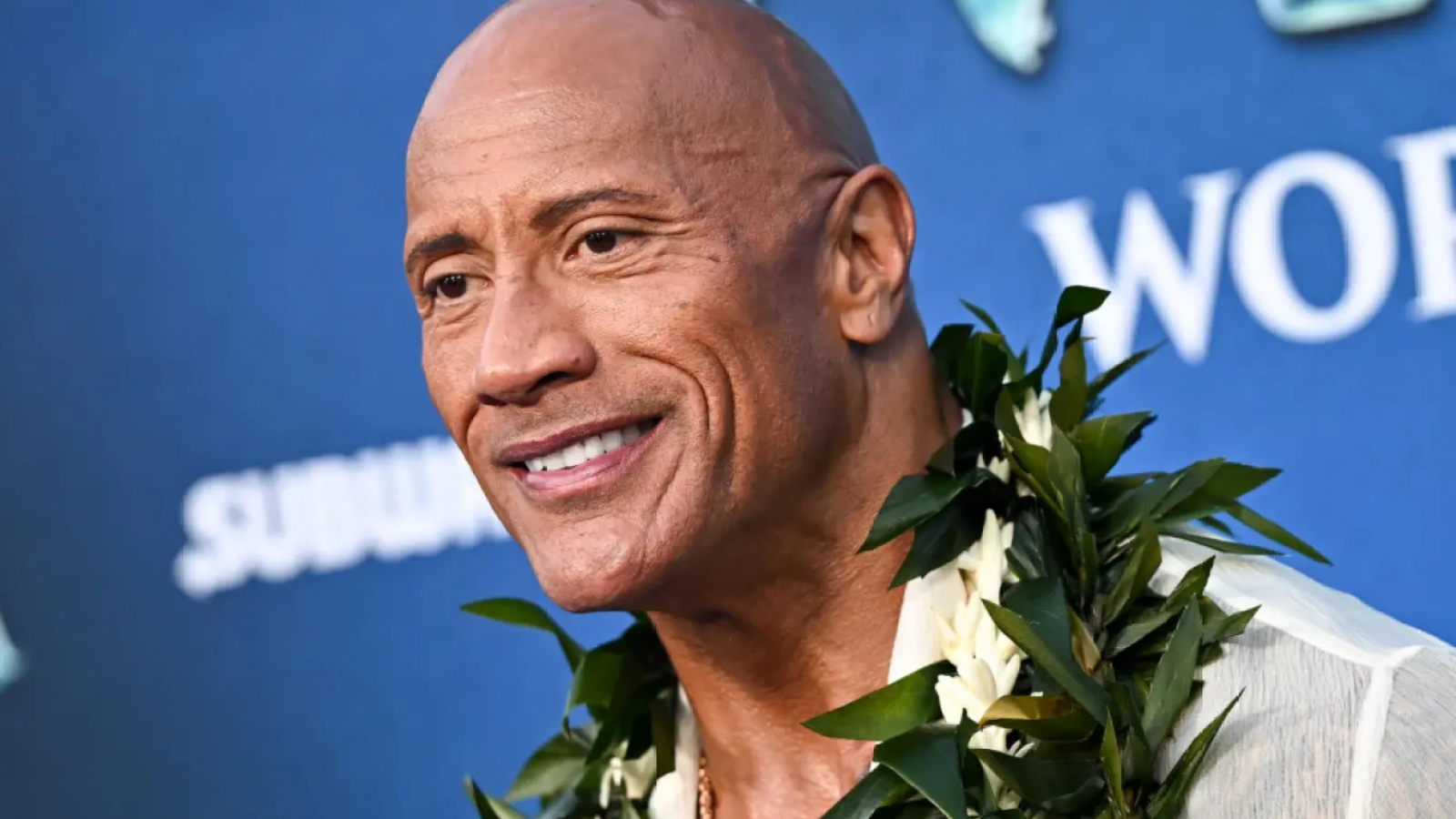 Phản ứng của Dwayne Johnson khi Moana bị giới phê bình chê bai