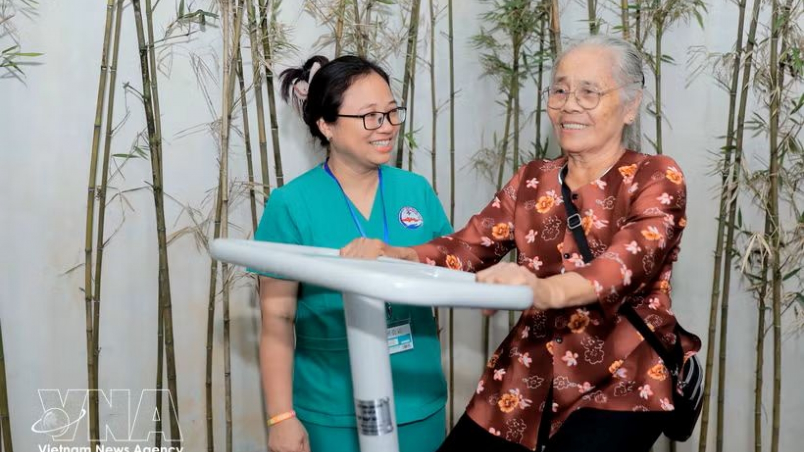 Hanoi taps elderly resources to develop “silver economy”