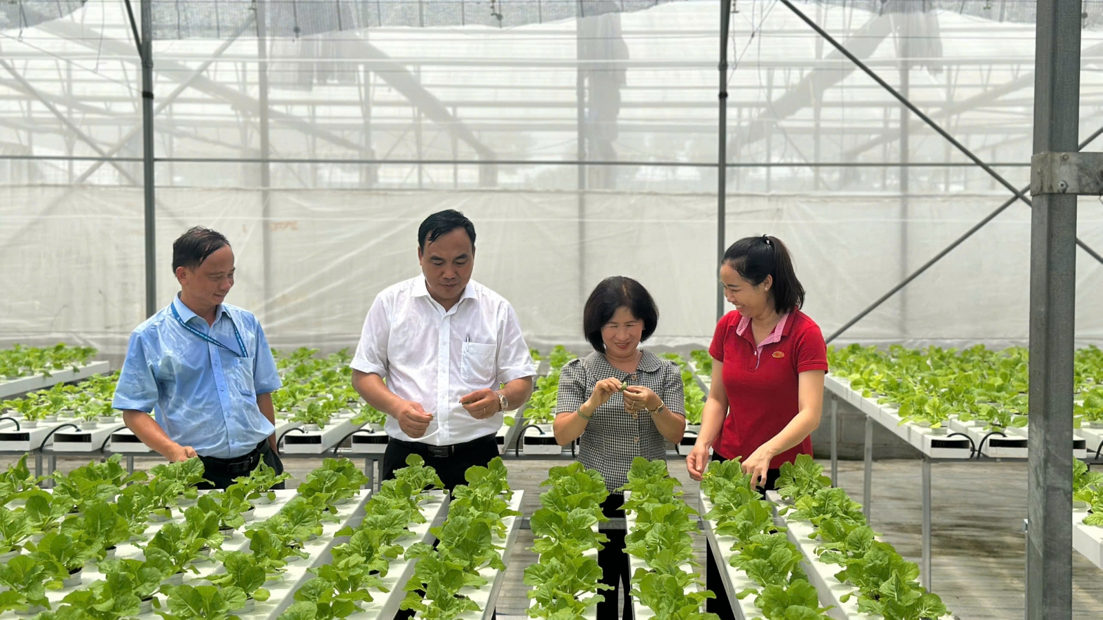 Ho Chi Minh City promotes high-tech agricultural value chain links with RoK