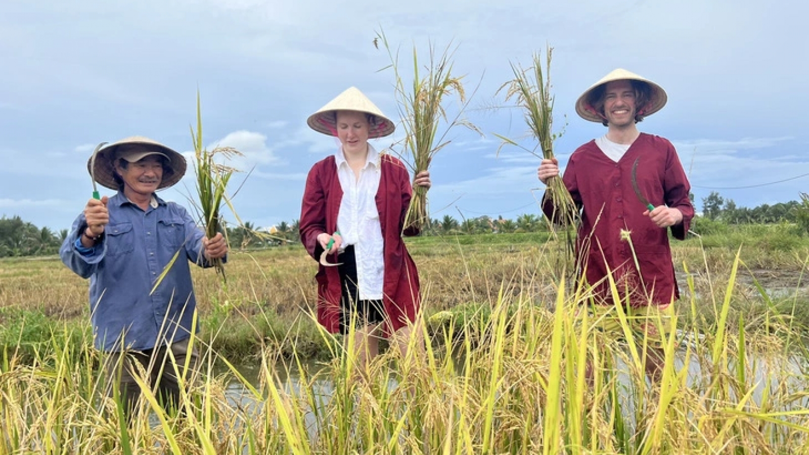 International tourists to experience wet-rice culture at 2026 rice festival