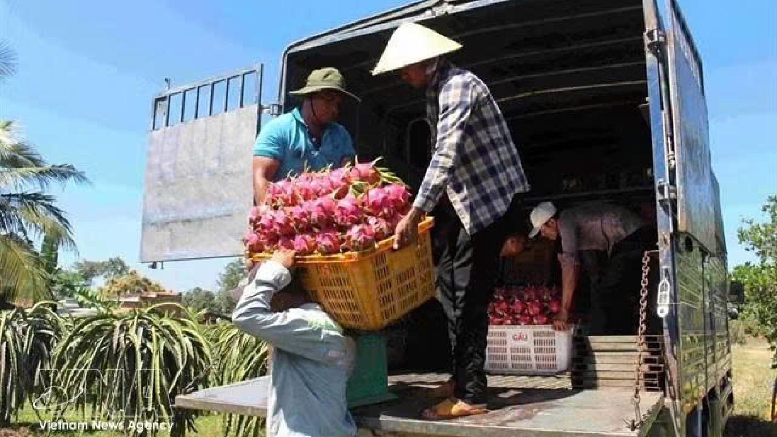 Exporters urged to adapt as EU tightens food safety rules