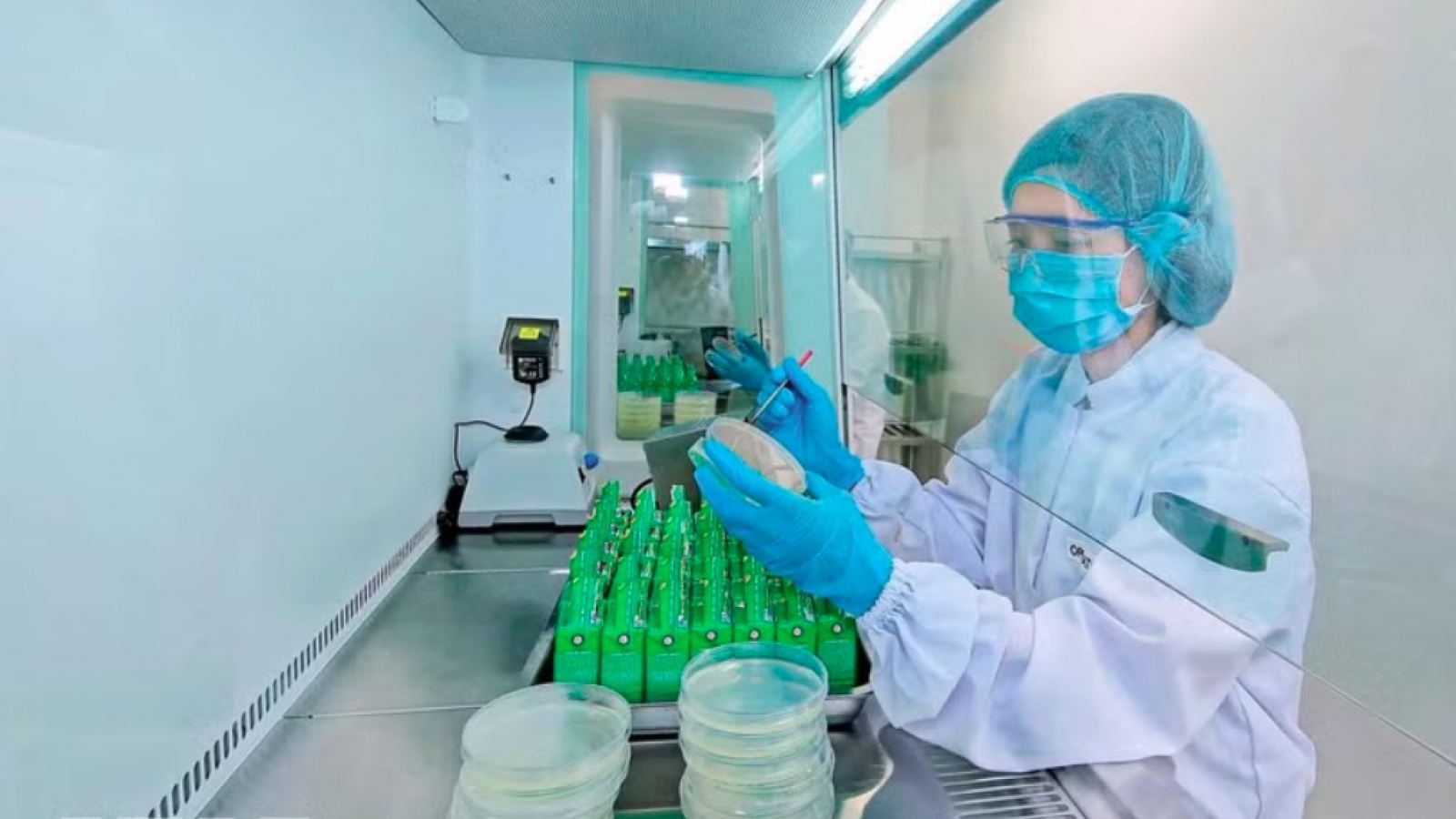 Resolution helps drive foreign direct investment into green economy