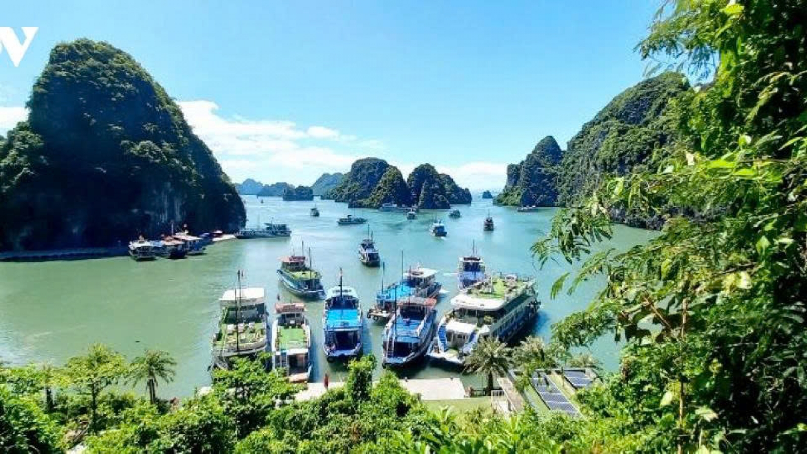 Mỗi địa điểm sẽ có mã định danh 12 chữ số hiển thị trên VNeID