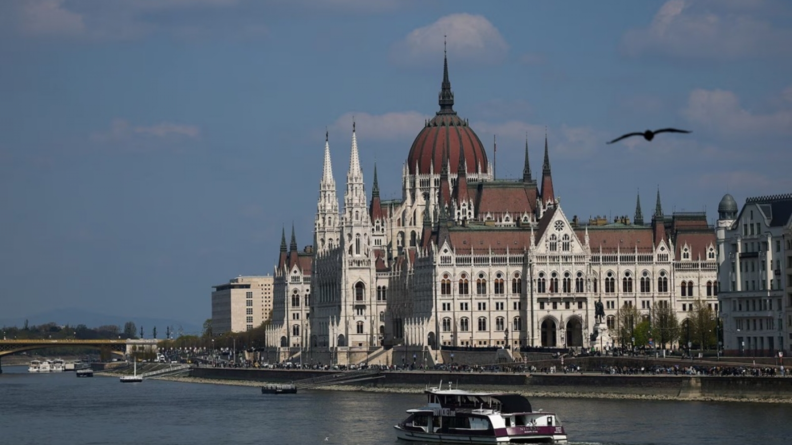 Hungary chuẩn bị bầu Tổng thống mới