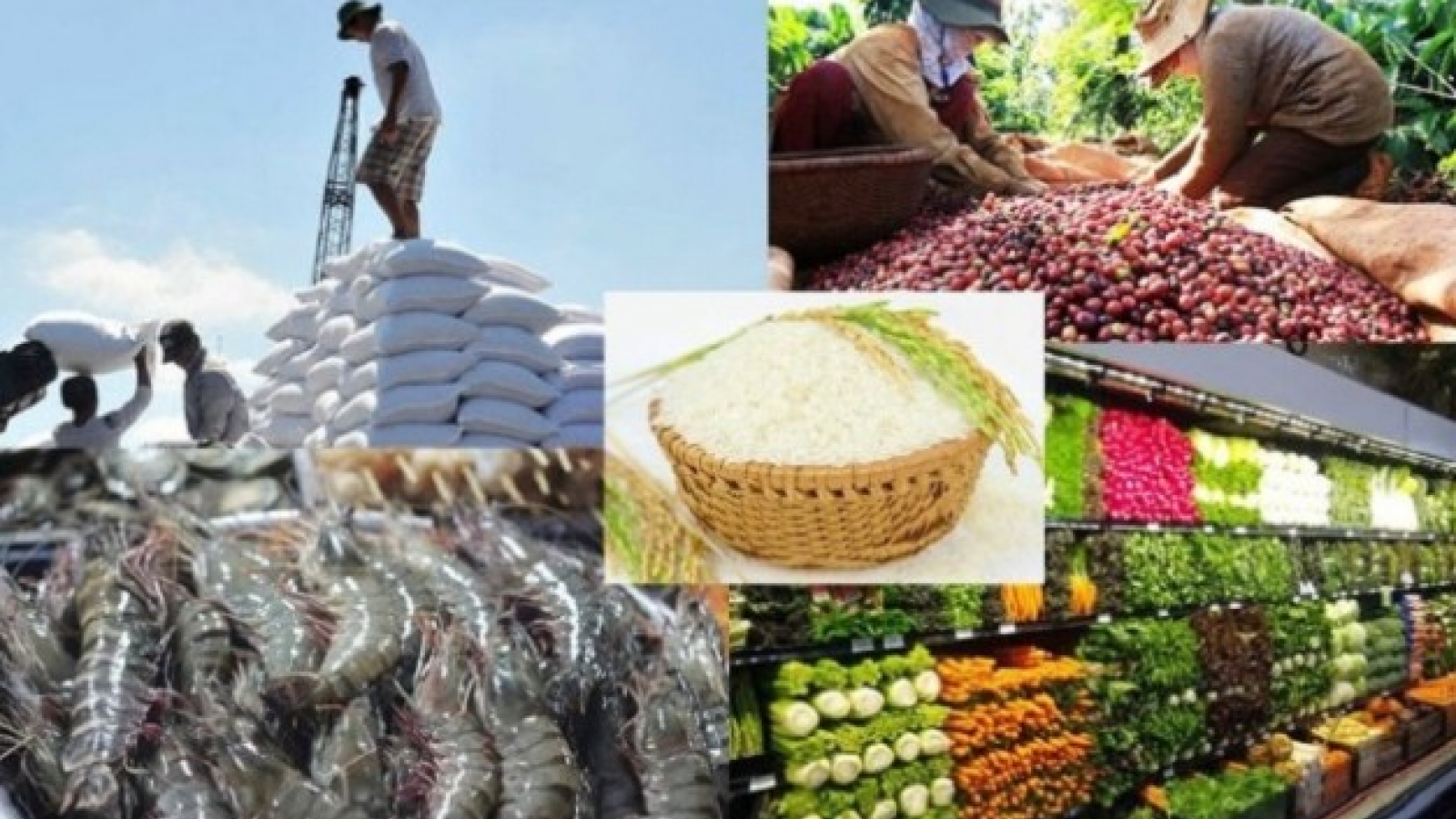Trade ministry charts double-digit export-import roadmap through 2030
