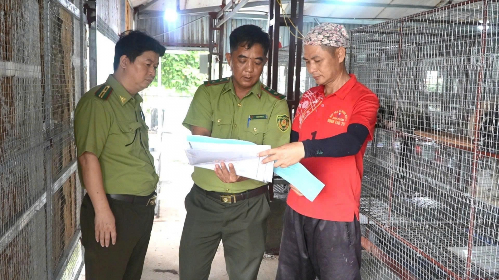 Thái Nguyên siết chặt bảo vệ động vật hoang dã, xử lý nghiêm vi phạm
