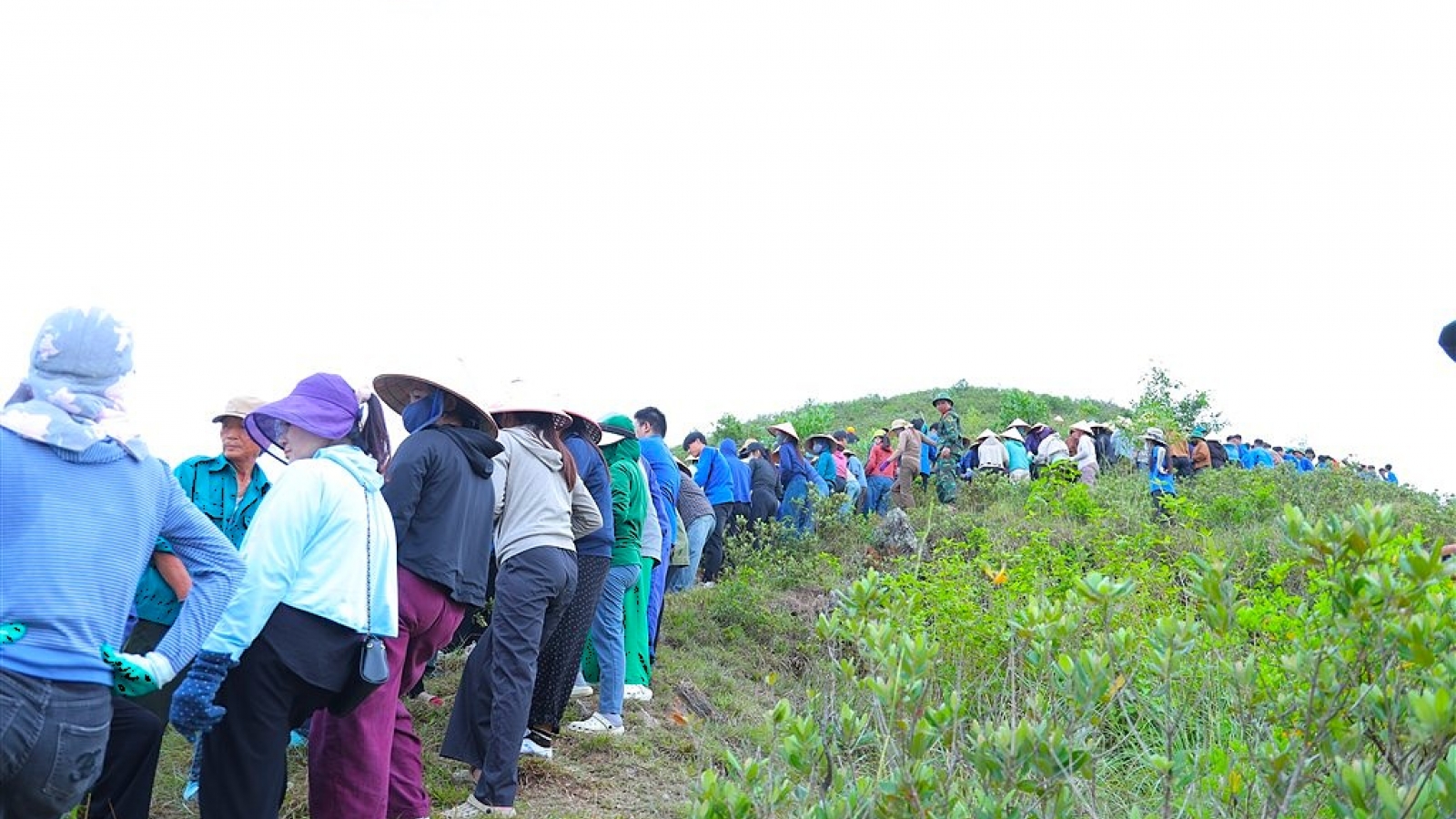 Hơn 1.000 người chung sức tái tạo dòng chữ “BÁC HỒ SỐNG MÃI” trên Núi Nhón