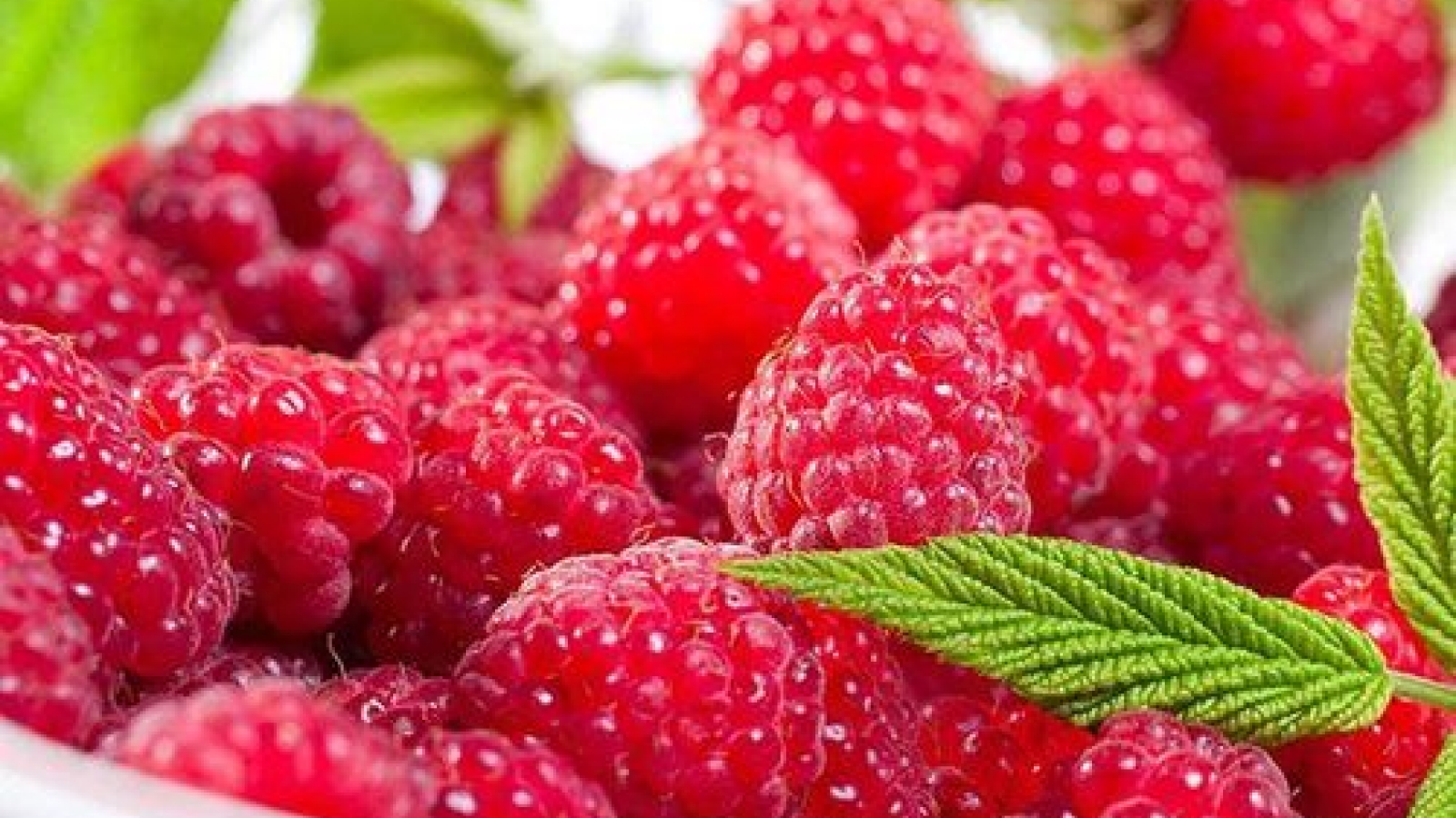 Mâm xôi đỏ: Nhỏ bé nhưng giá trị dinh dưỡng đáng kinh ngạc