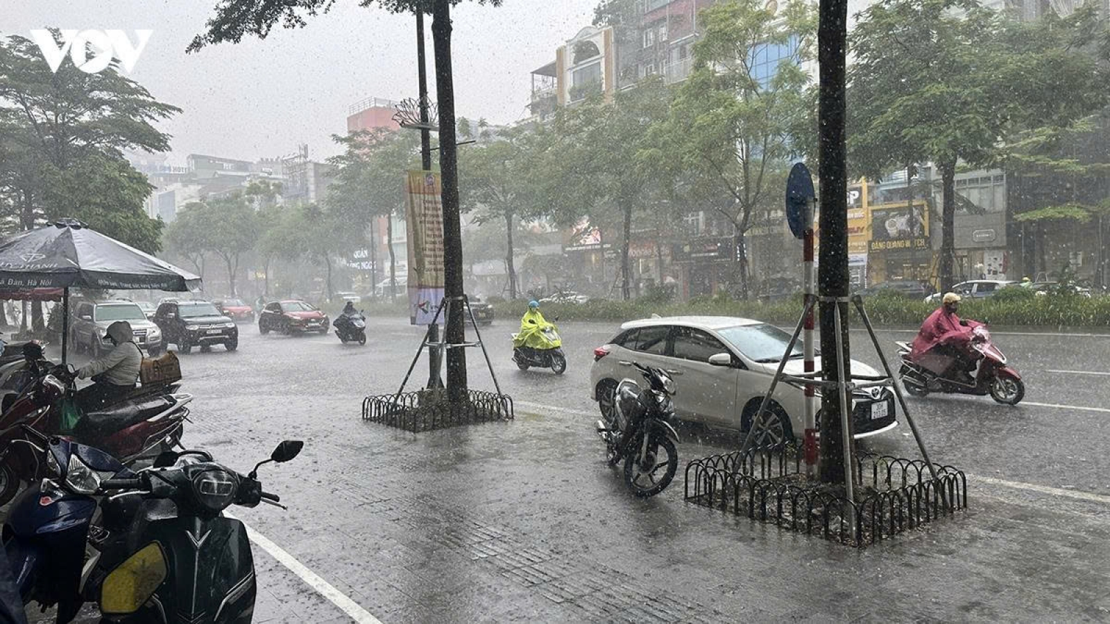 Thời tiết hôm nay 4/8: Bắc Bộ mưa lớn, Hà Nội có mưa rào và dông