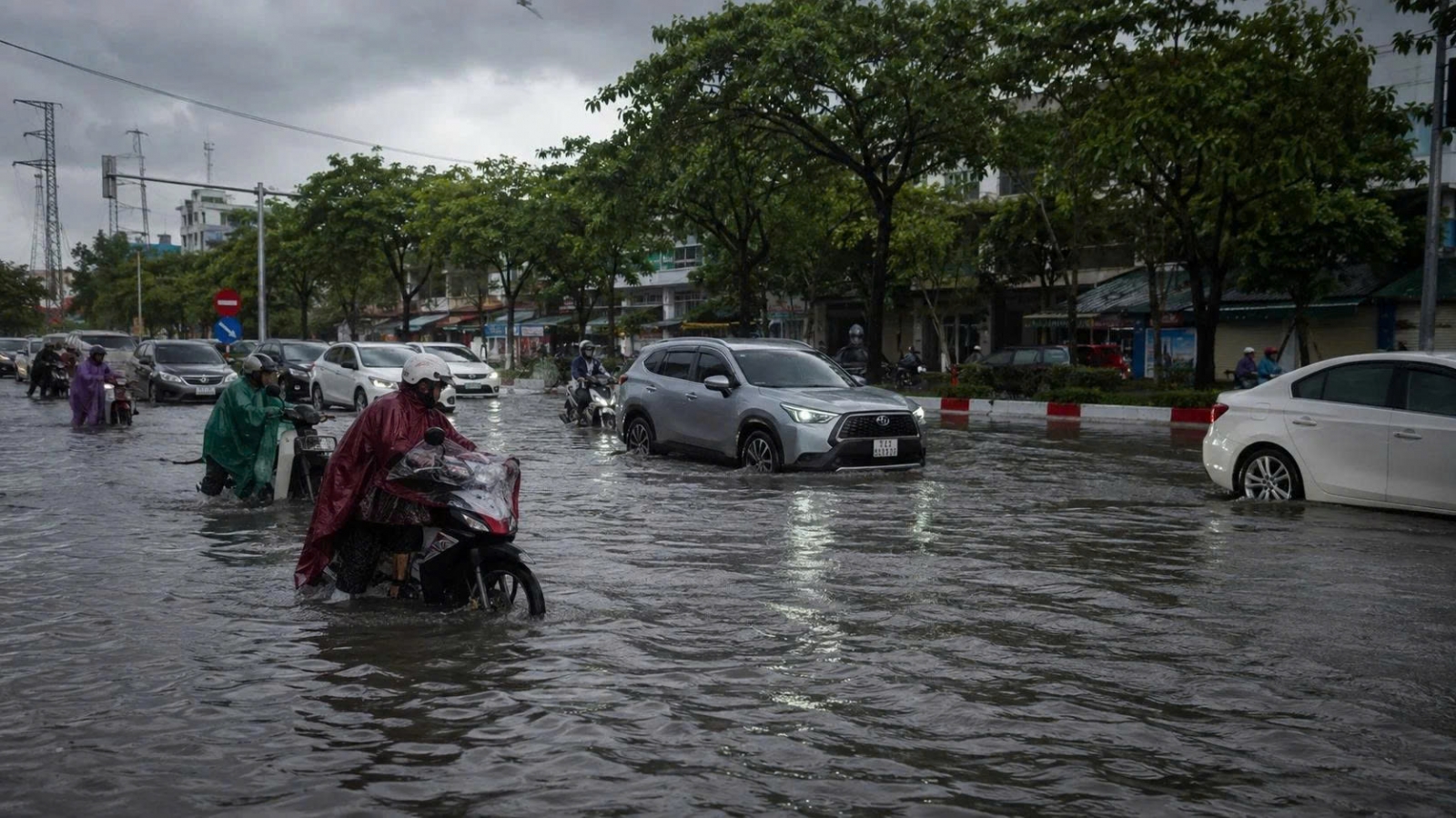 Thành phố bọt biển: Giải pháp thích ứng hay cuộc đua với bê tông hóa?