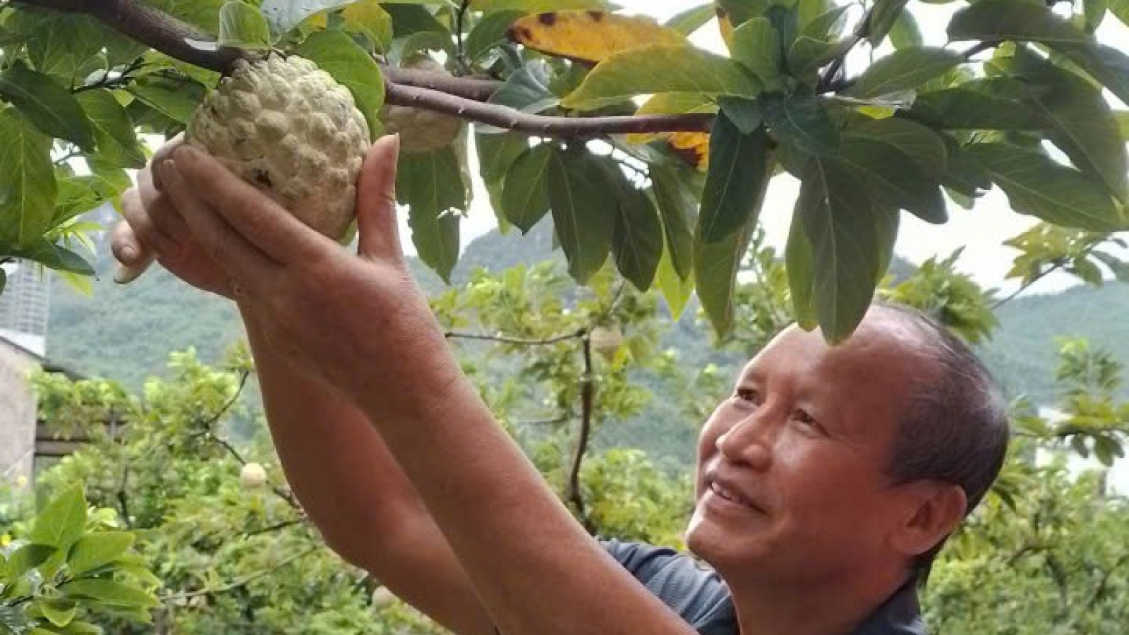 Xây dựng thương hiệu để sản phẩm Na La Hiên Thái Nguyên vươn xa