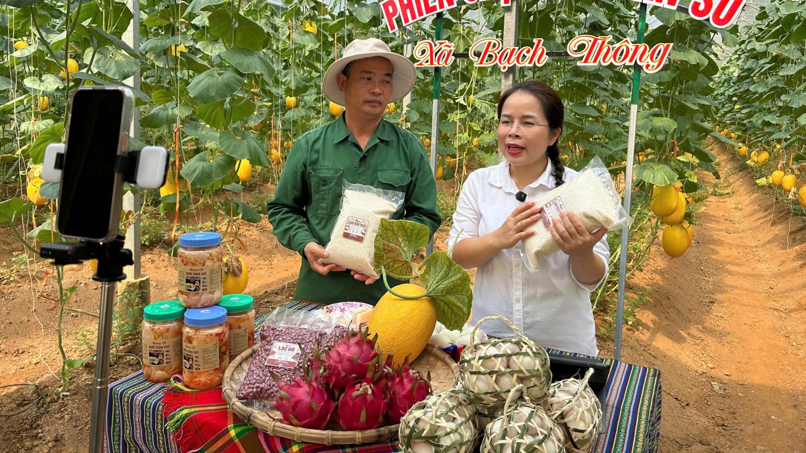 Nữ Bí thư xã livestream bán nông sản, hơn 2.000 quả dưa lưới được chốt đơn