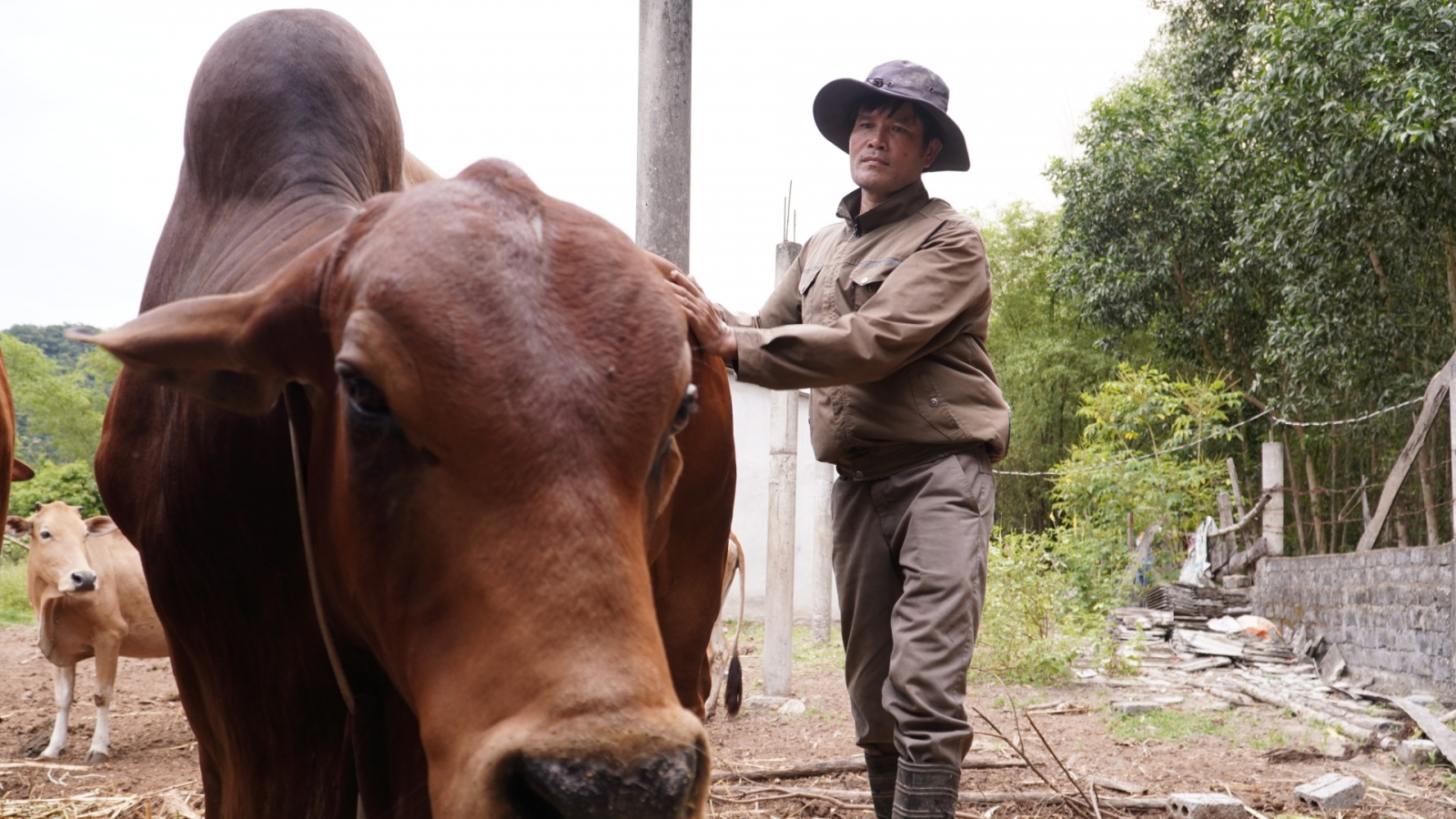 Agribank Bắc Quảng Bình: Hỗ trợ vốn tam nông giúp người dân miền núi làm giàu