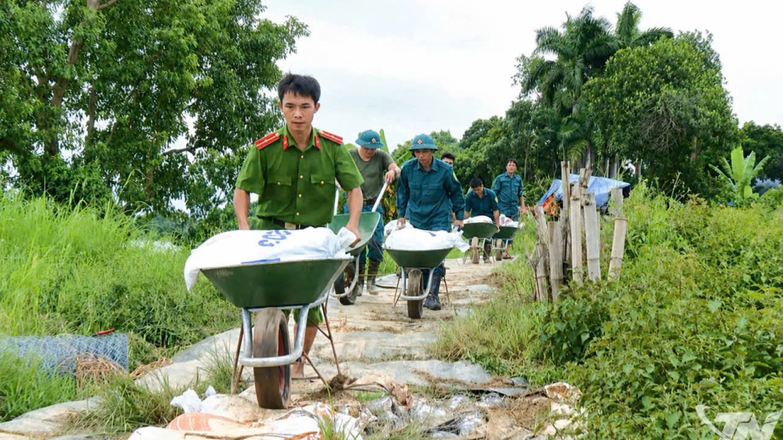 Thái Nguyên tập trung xử lý các vị trí xung yếu đê bối sông Cầu