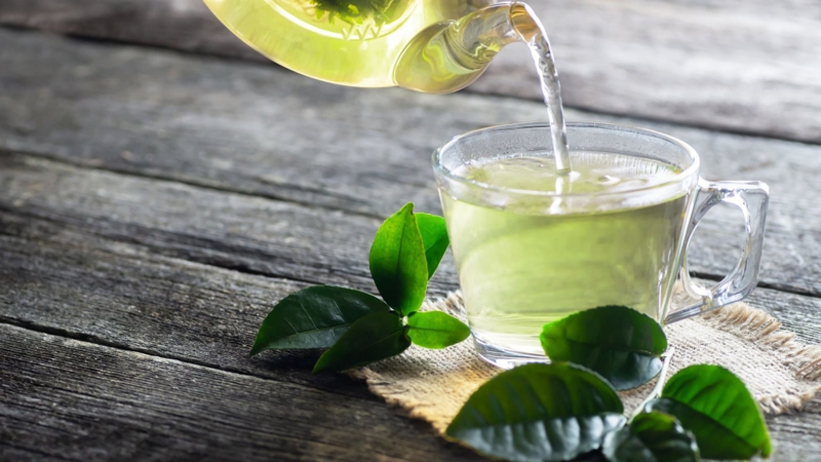 Uống trà gì để hỗ trợ gan thận? 5 loại trà đáng thử