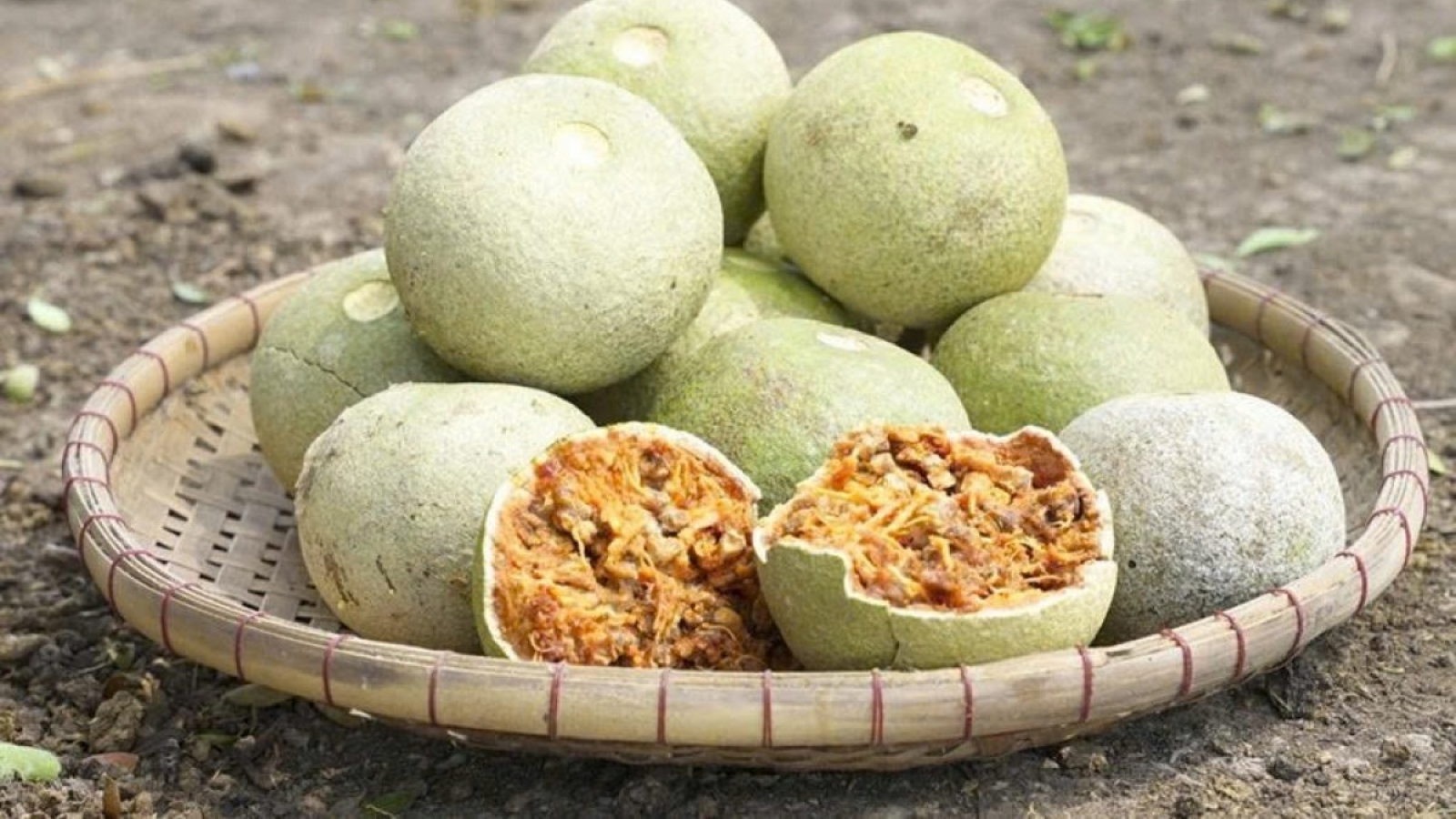 Từ cây mọc dại thành đặc sản độc đáo miền Tây