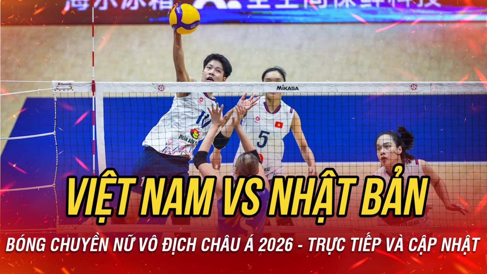 Kết quả bóng chuyền nữ hôm nay 25/8: ĐT Việt Nam thua Nhật Bản 0-3